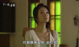 下一站幸福电视剧在线观看